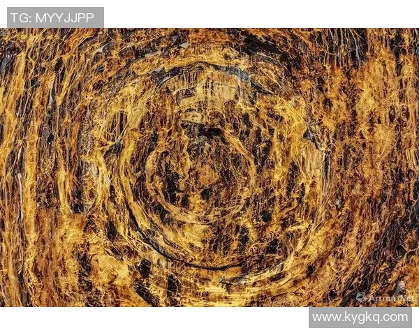 布拉德福特与彼得堡联激战正酣比分揭晓精彩瞬间回顾